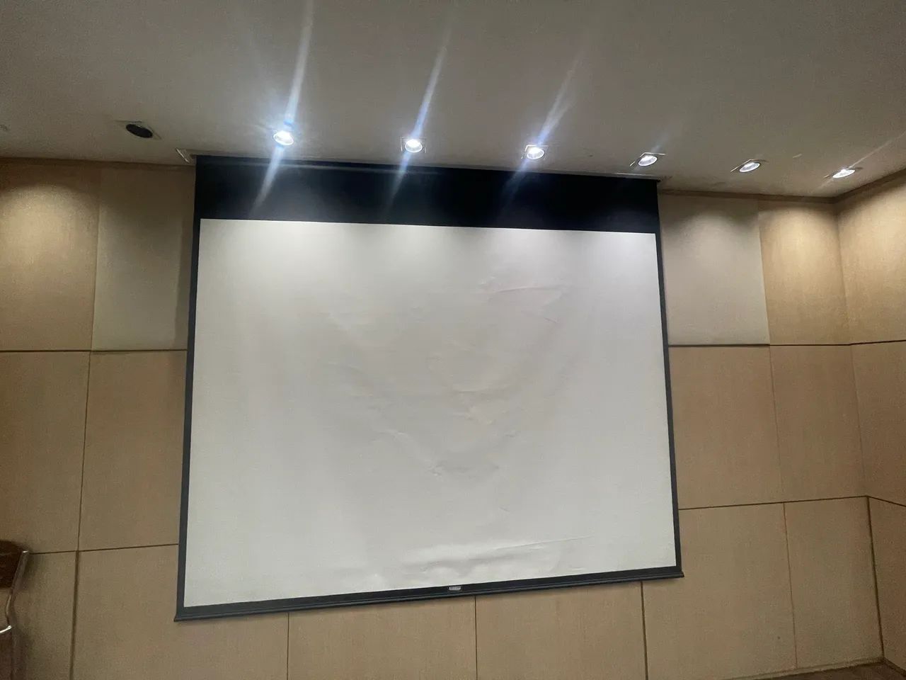 Tela de Projeção 150 Polegadas Nardelli - Excelente Estado