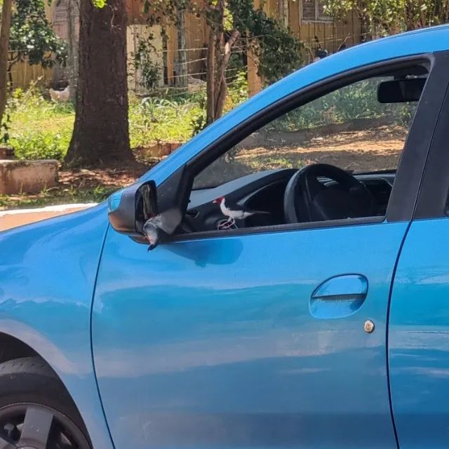 Renault Sandero 2015