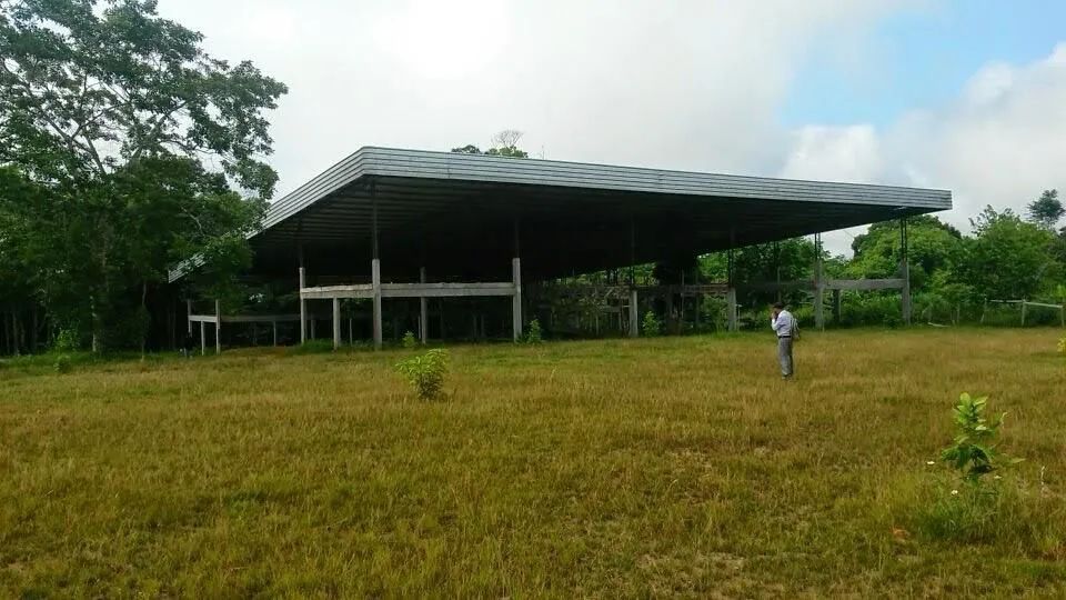 //Alugo Terreno com Galpão na BR 174 - Foto 2