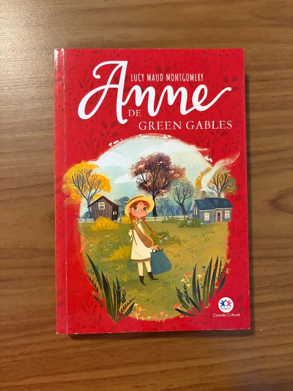 Livros diversos65203907506818121