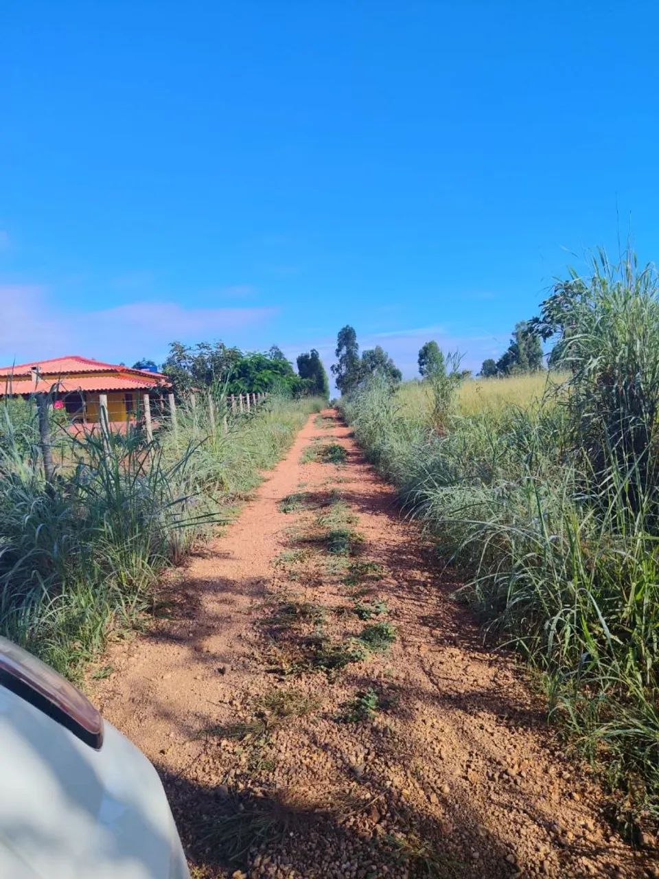 Vendo ou troco sítio  em Baldim - Foto 4
