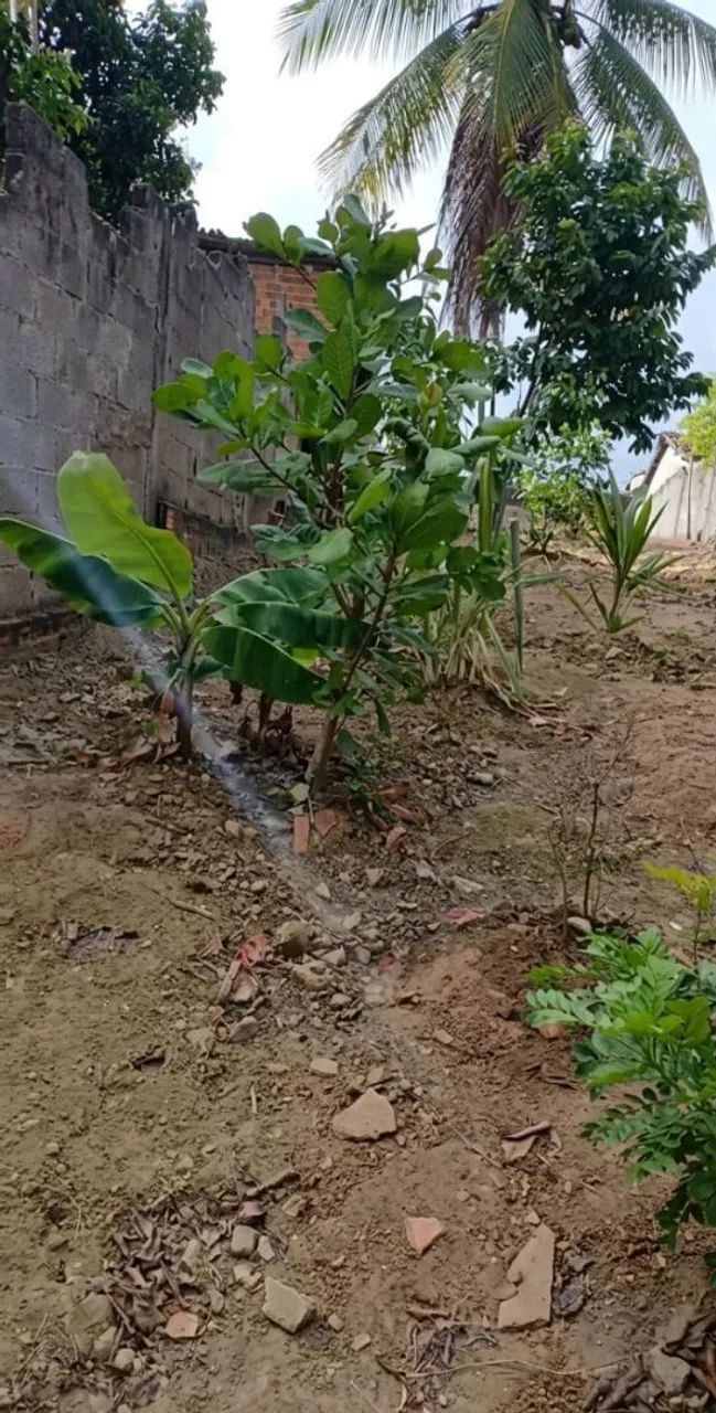 Vende-se terreno Coqueiro Seco - Foto 2