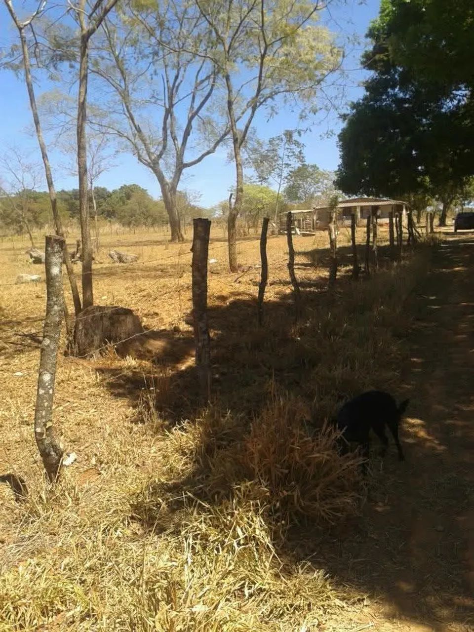 chacara - Foto 5