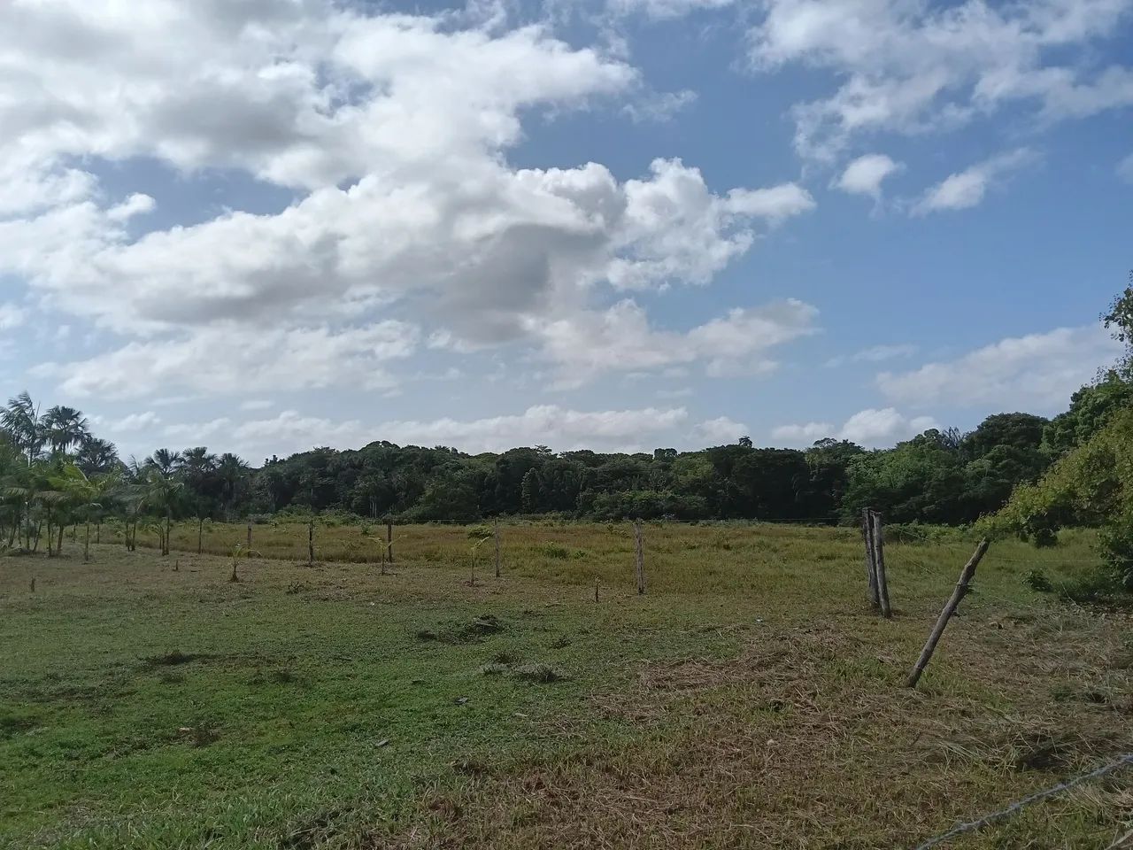 Sítio à 8km de Bragança ou Augusto Correia. - Foto 2