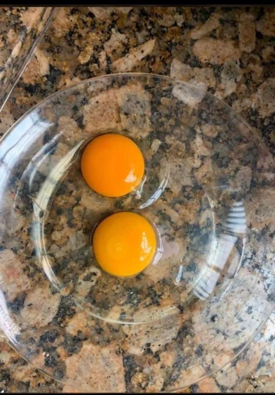 Vendo Ovos Caipira da Roça! - Foto 4