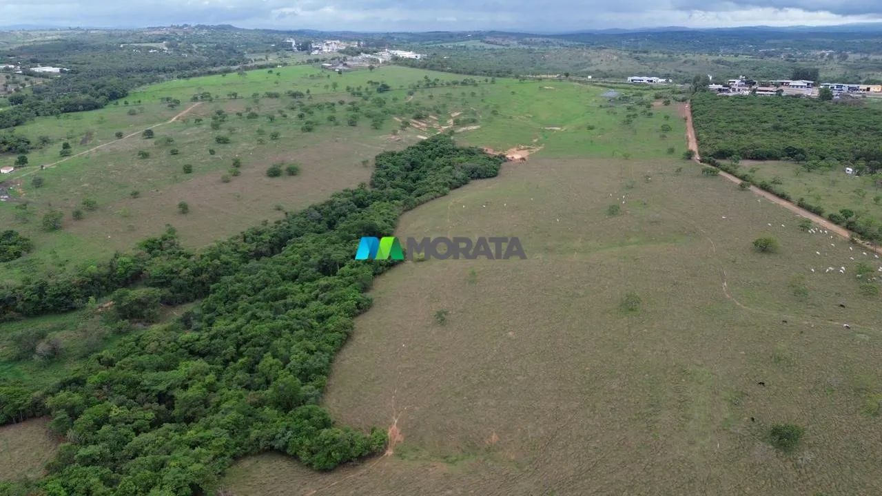 FAZENDA À VENDA - 151 HECTARES - BOM DESPACHO (MG) - Foto 5