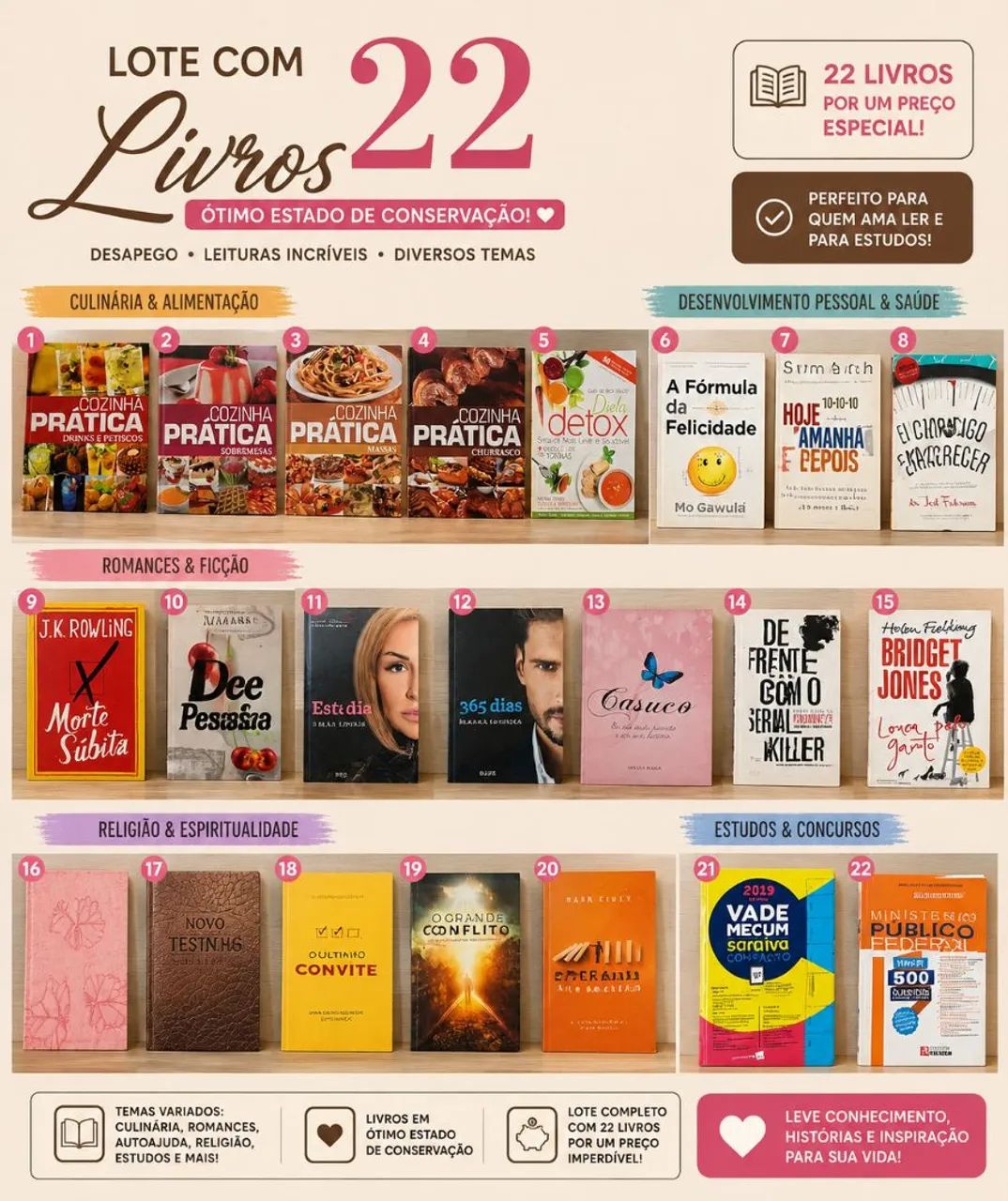 Lote 22 livros