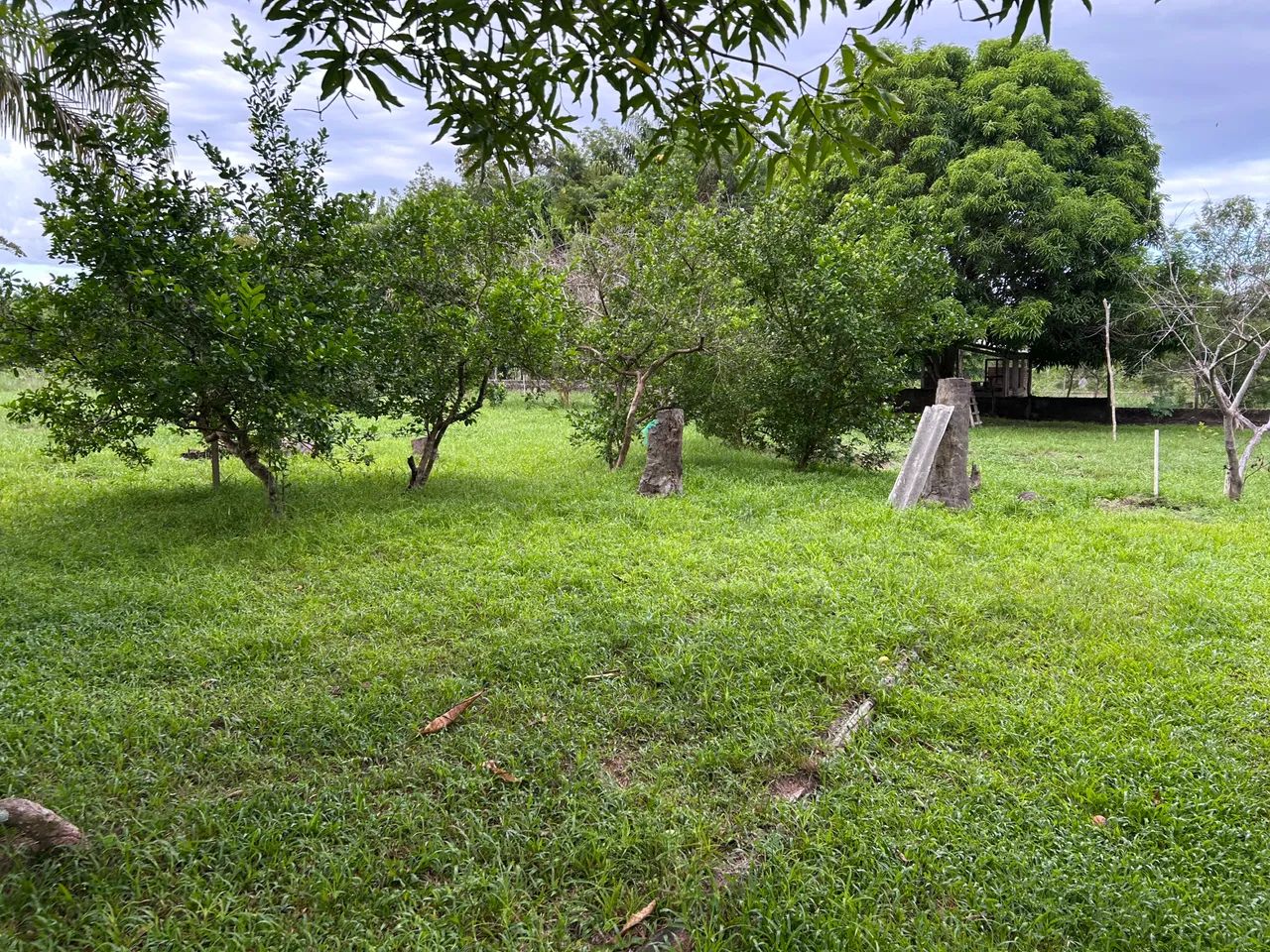 Venda  - Foto 2