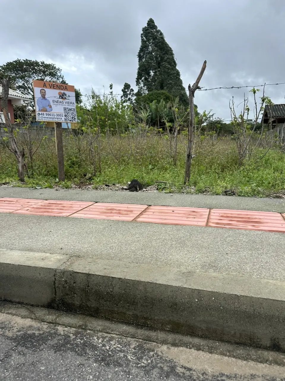 Lote para Venda em Paulo Lopes, Areias