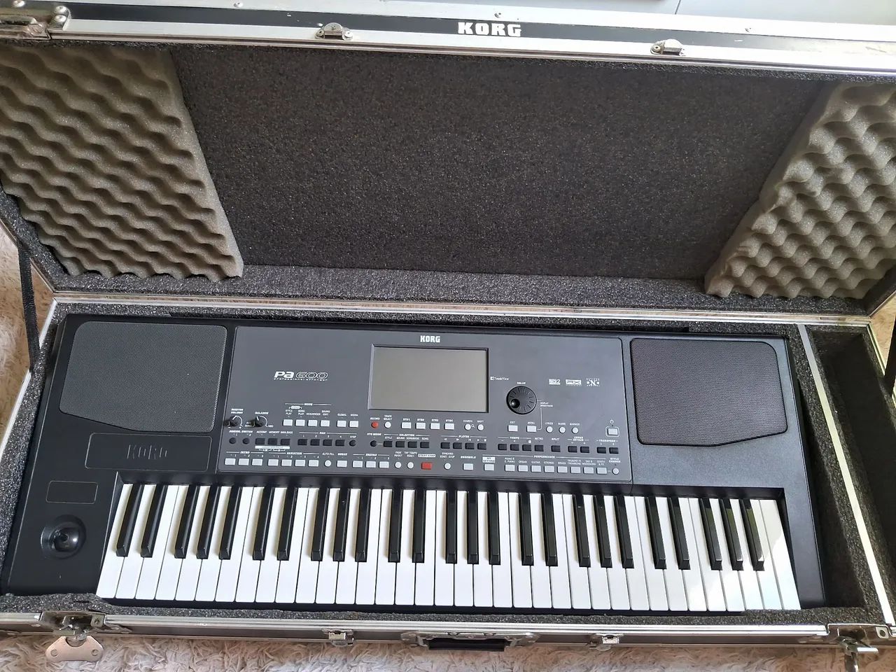 Vendo korg PA600