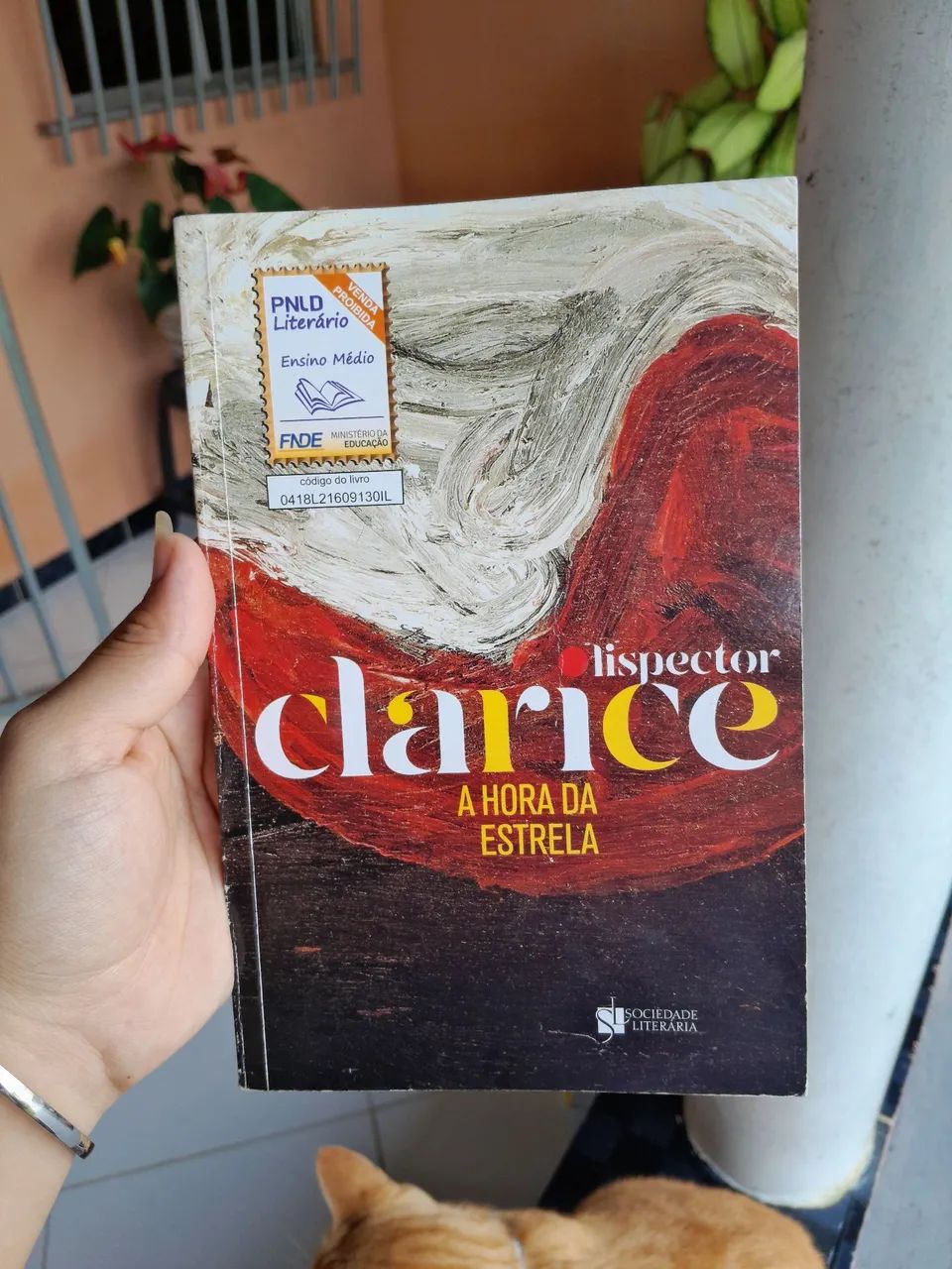 Clarice Lispector - A Hora da Estrela