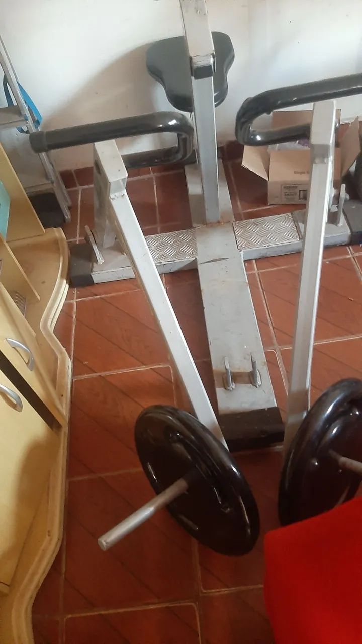 Remada articulada +@nilhas 20kg emborrachada 