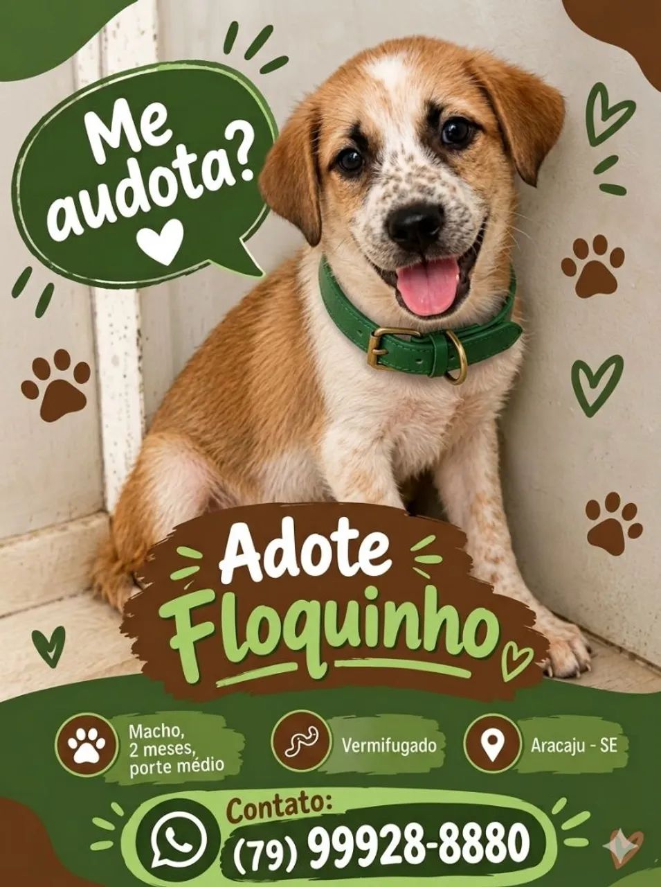FLOQUINHO e LUNA 