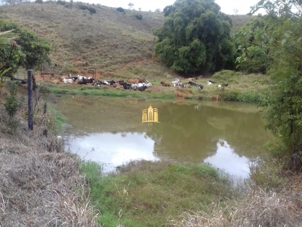 FAZENDA A VENDA CIDADE CARMÉSIA/MG - Foto 5