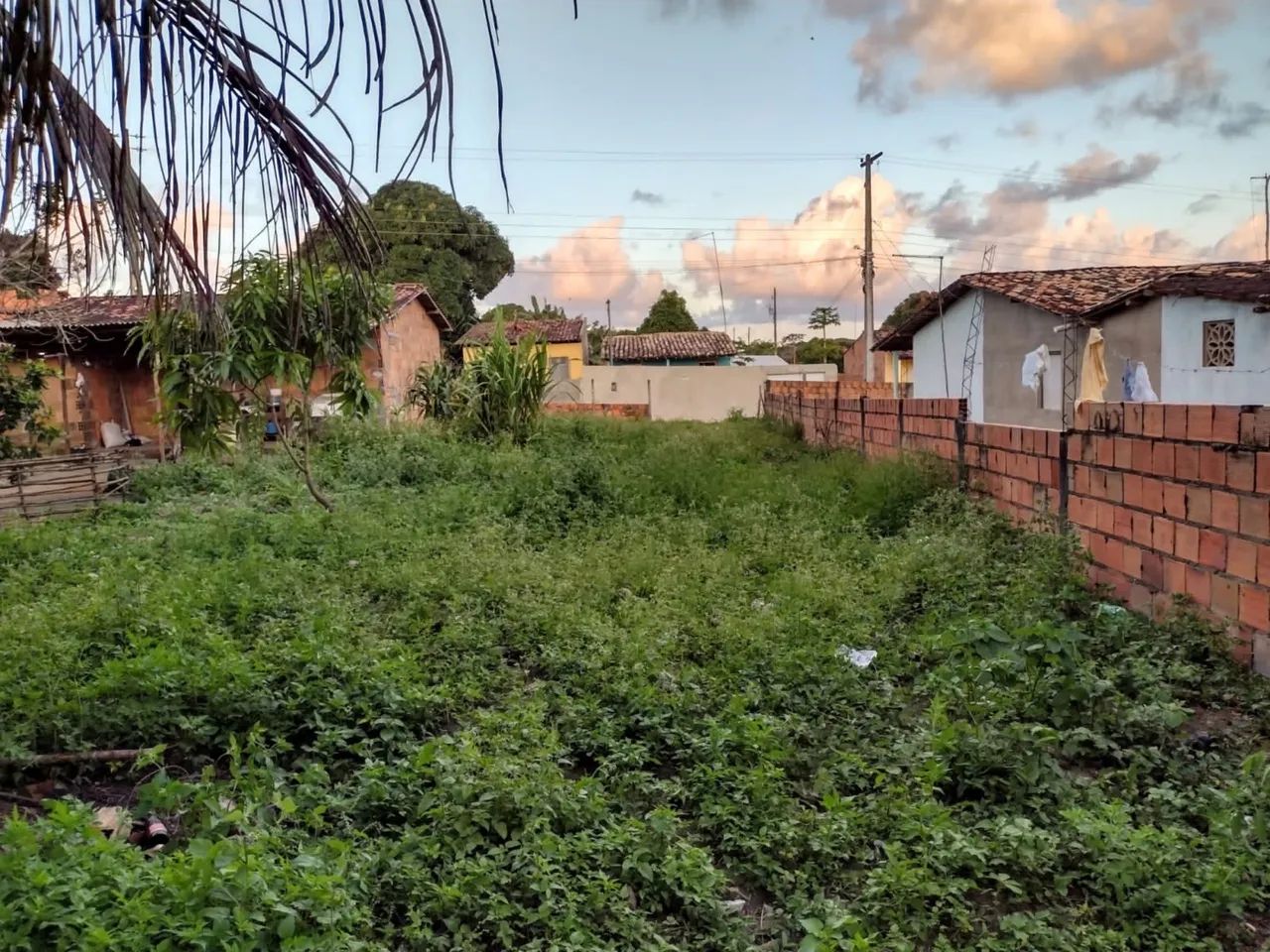 Venda de terreno  - Foto 5