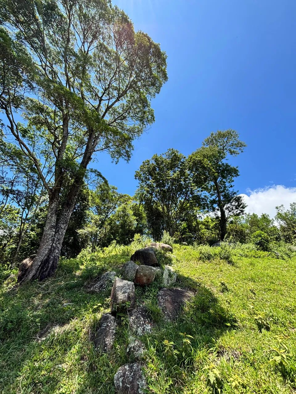 LINDO 2 HECTARES ESCRITURADO E COM LUZ! - Foto 2