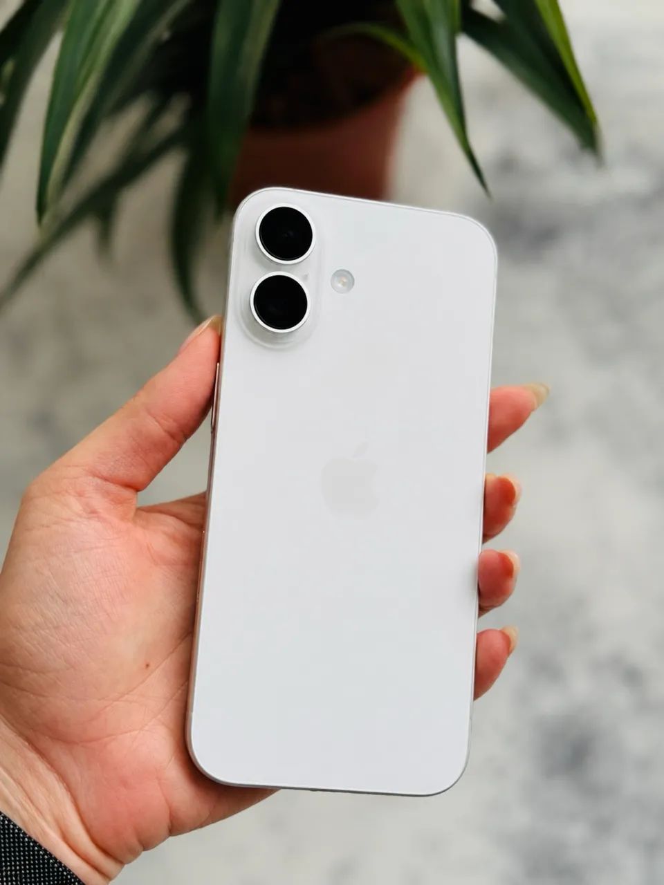 Iphone 16 plus