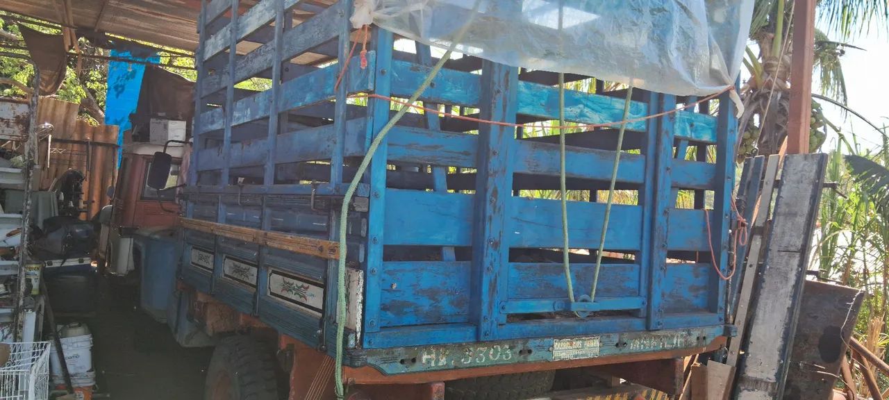 Trasporte de animais - Foto 3