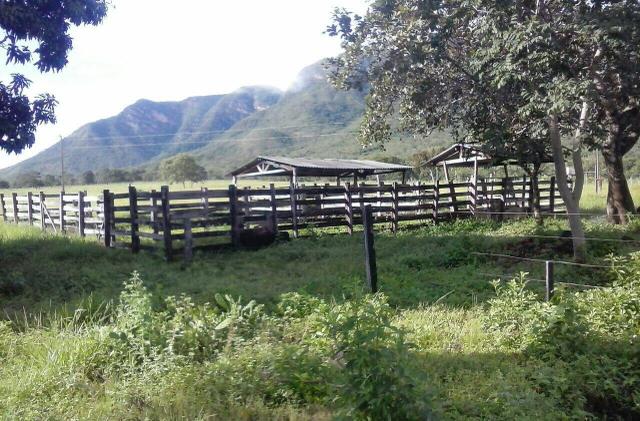 Lindo Sítio 20 alqueires em Formosa GO - Foto 8