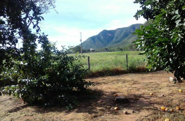 Lindo Sítio 20 alqueires em Formosa GO - Foto 13