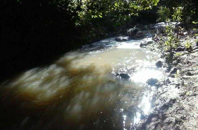 Lindo Sítio 20 alqueires em Formosa GO - Foto 2