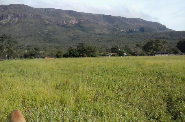 Lindo Sítio 20 alqueires em Formosa GO - Foto 15