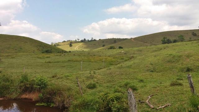 Fazenda 240 has em Tancredo Neves/BA - Foto 8