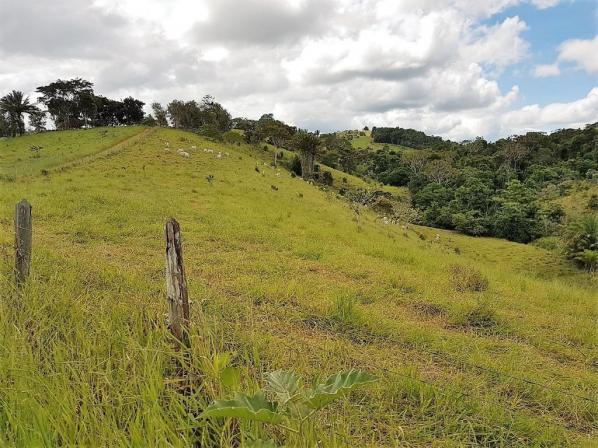Fazenda 534 has em Tancredo Neves - Foto 20