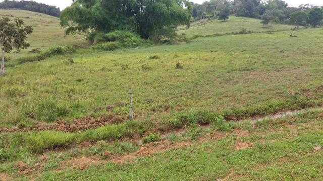 Fazenda 240 has em Tancredo Neves/BA - Foto 3