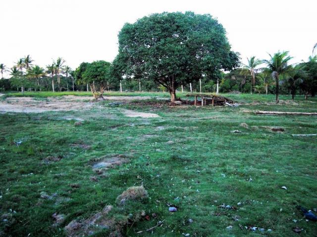 Terreno de 900 mil m2 em Porto Seguro - Foto 11