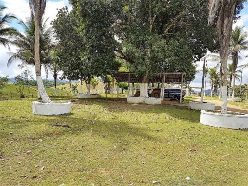 Fazenda 534 has em Tancredo Neves - Foto 7