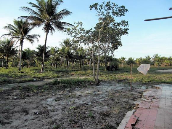 Terreno de 900 mil m2 em Porto Seguro - Foto 9