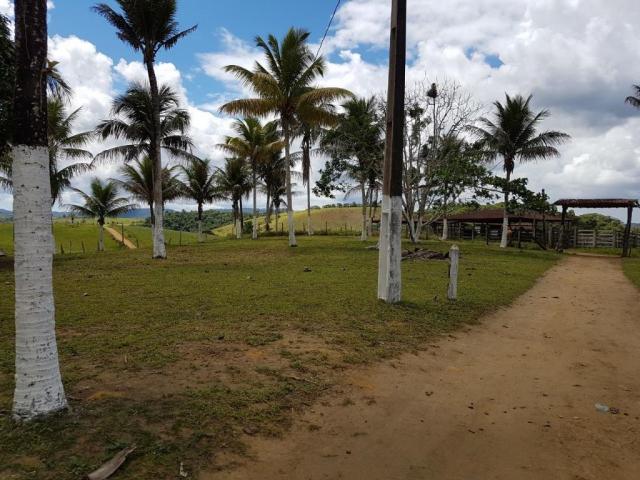 Fazenda 534 has em Tancredo Neves