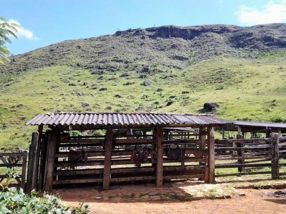 Fazenda em Iguai/BA com 1136 hectares - Foto 3