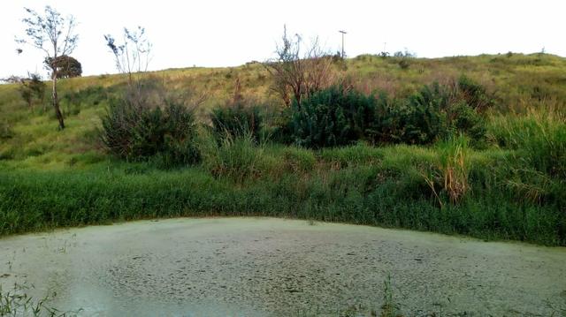 03 Hectares Com Água e Luz Em Chã Grande - PE - Foto 2