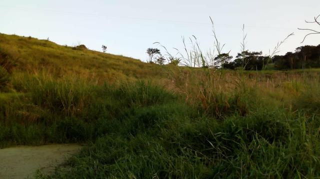 03 Hectares Com Água e Luz Em Chã Grande - PE - Foto 17