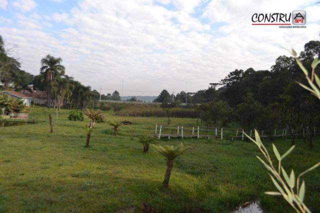 Terreno área de 12.100 m² r$ 2.200.000 - colônia rio grande - são josé dos pinhais/pr - Foto 8