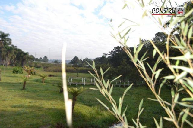 Terreno área de 12.100 m² r$ 2.200.000 - colônia rio grande - são josé dos pinhais/pr - Foto 7