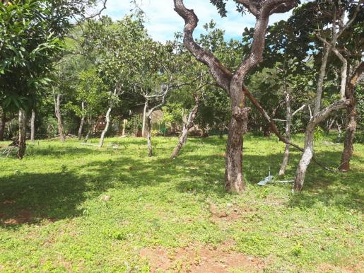 Chácara à venda, 25000 m² por r$ 210.000,00 - rural - chapada guimarães/mt