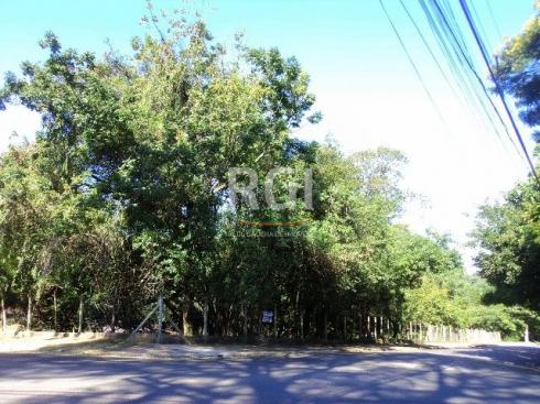Terreno à venda em Santo andré, São leopoldo cod:VZ4217 - Foto 2