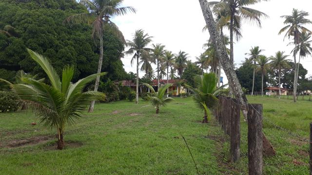 Fazenda em Mata de São João. BA - Foto 9