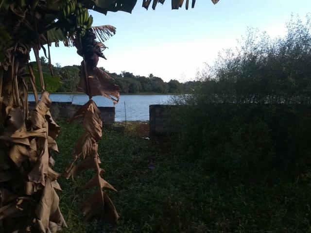 Terreno - Foto 8