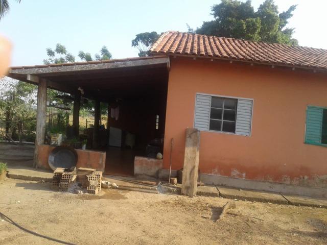 Vende-se sítio - Foto 13
