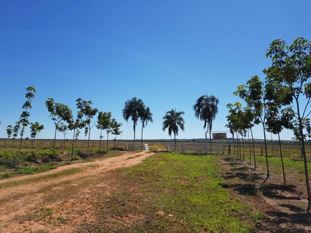 Cassilândia MS 294 alqueres top