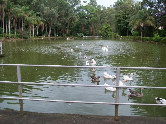 Apto em condomínio no centro das atrações turisticas - Foto 18