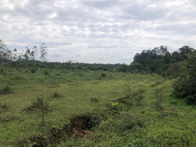 Chácara , sitío , vila nova - Foto 4