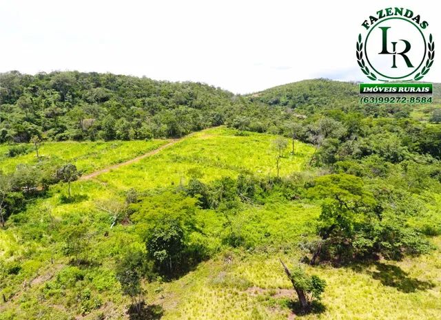Fazenda 61 Alqueires Pecuária Próximo a Palmas - Foto 4