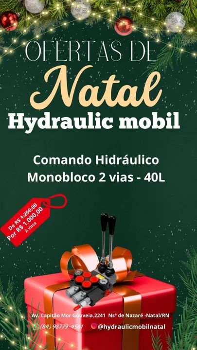 Comando Hidráulico Monobloco 2 vias - 40L