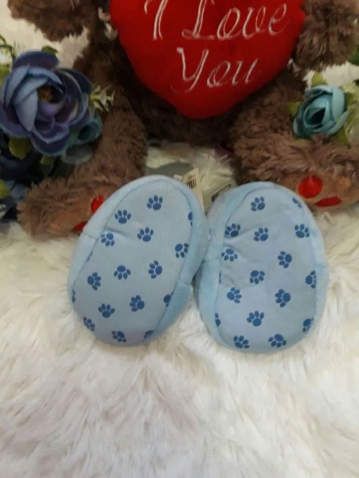 Blue Teddy Bear Shoes64304563716609121