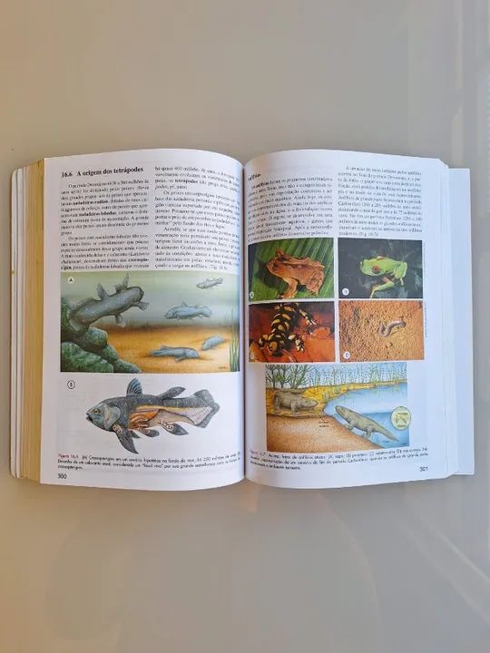 Biologia das Populações em bom estado - Foto 4